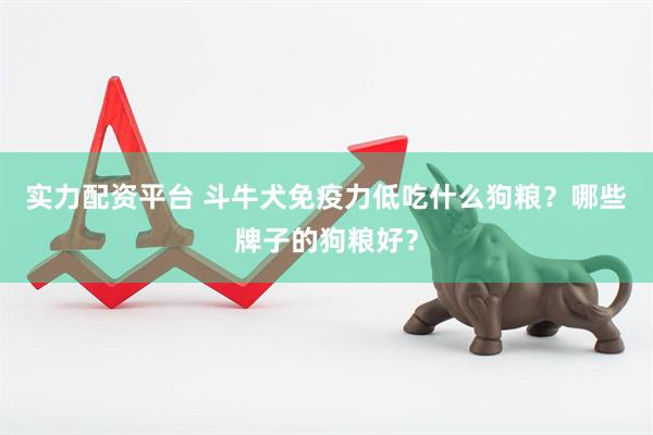 实力配资平台 斗牛犬免疫力低吃什么狗粮？哪些牌子的狗粮好？