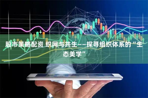 股市策略配资 织网与共生——探寻组织体系的“生态美学”